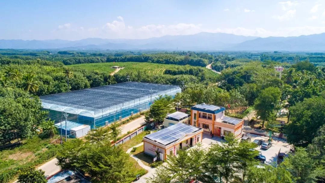史上最強樂東旅游全攻略！看這篇就夠了!