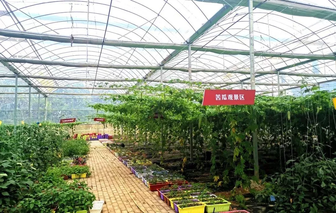 史上最強樂東旅游全攻略！看這篇就夠了!