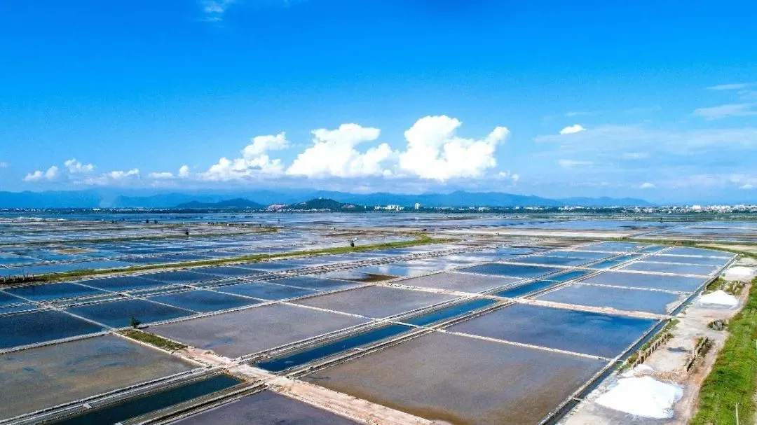 史上最強樂東旅游全攻略！看這篇就夠了!