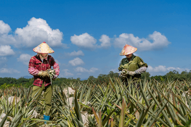 史上最強樂東旅游全攻略！看這篇就夠了!