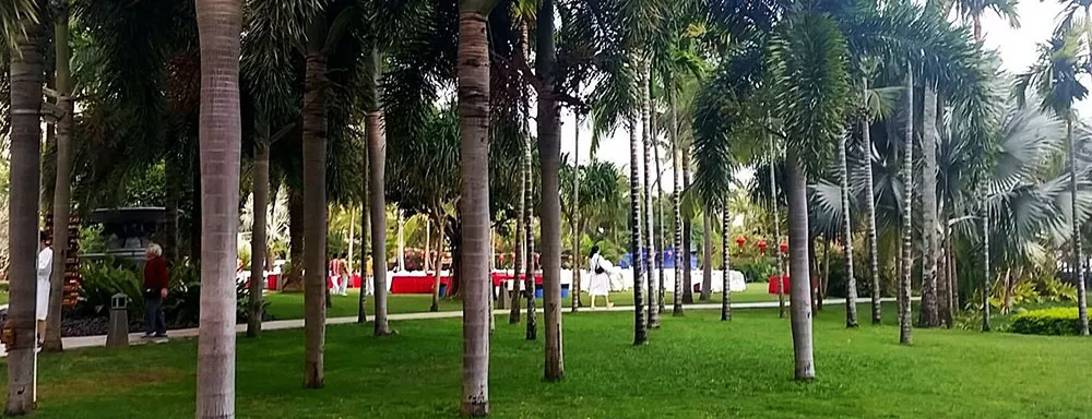 白金海岸露營地