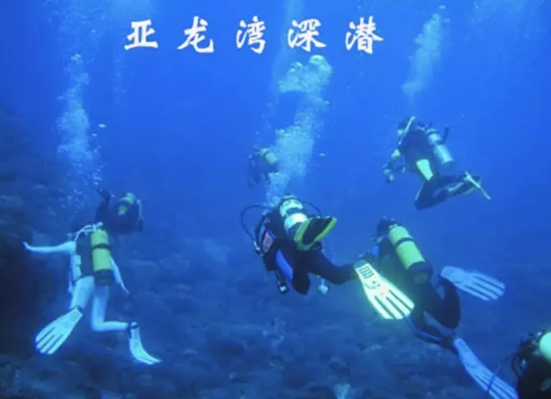 亞龍灣潛水