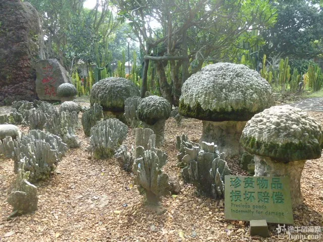 ?？谑交鹕饺簢业刭|公園