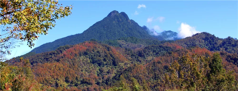 五指山熱帶雨林風景區