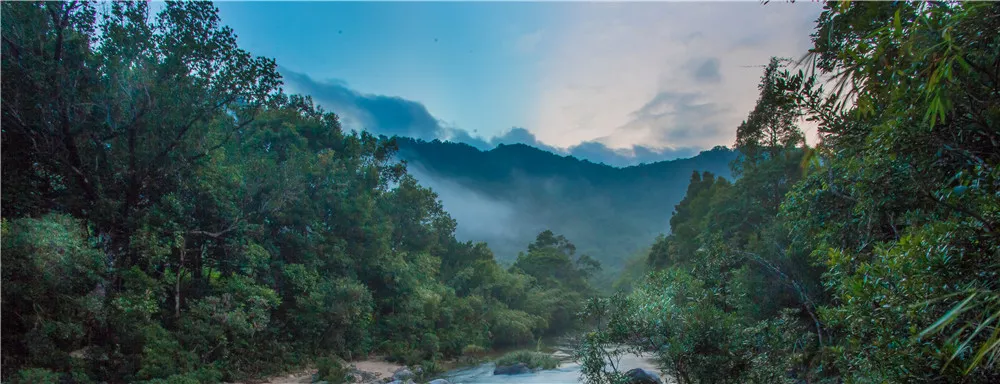 吊羅山國家森林公園
