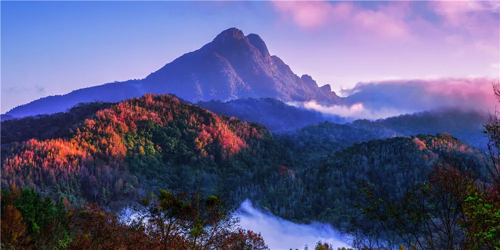 1526873541037023336.jpg 五指山-五指山山貌風光_副本.jpg